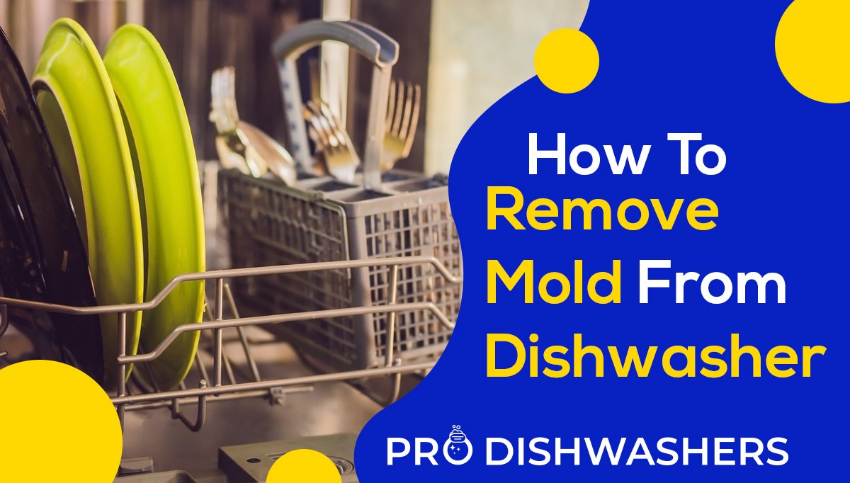 How To Prevent & Remove Mold From Dishwasher