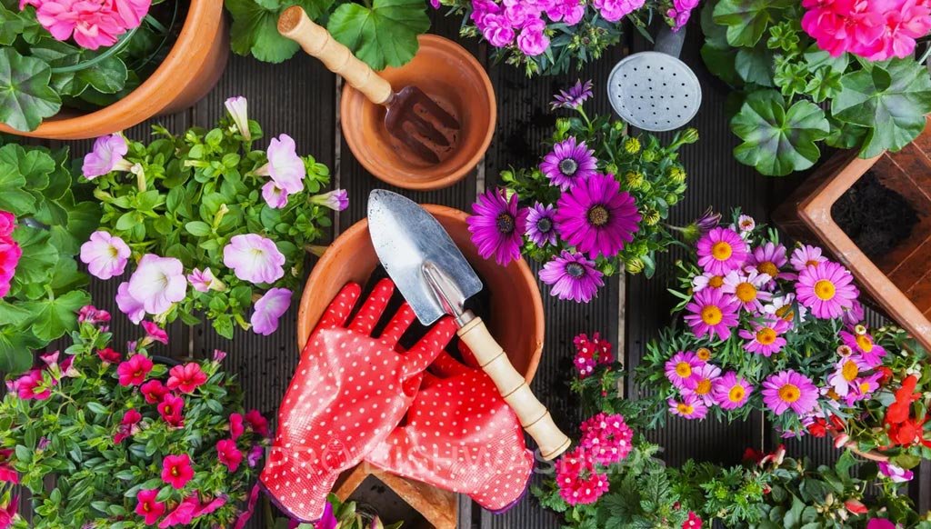 garden tools