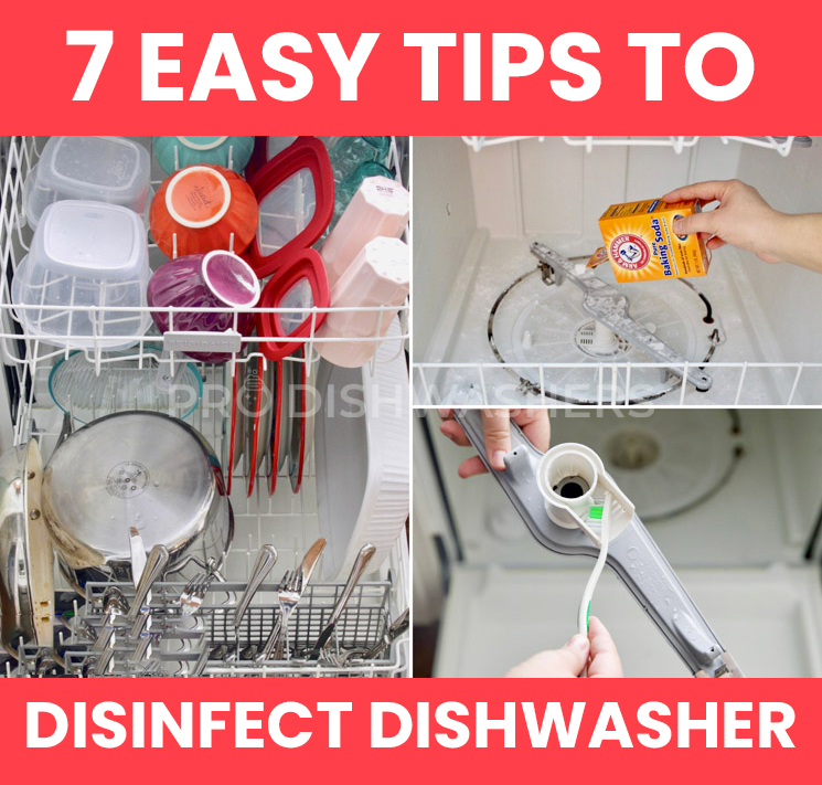 7 Easy Tips to Disinfect Dishwasher