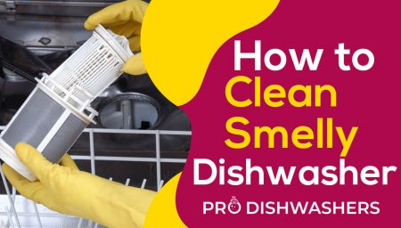 How To Clean A Smelly Dishwasher 450x256 