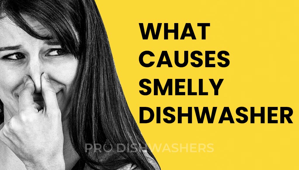 What Causes Smelly Dishwasher